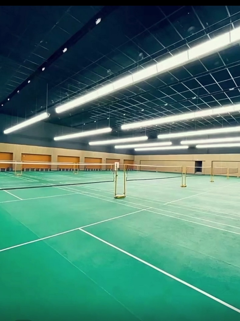High-CRI  Honeycomb Anti-Glare - Hall Table Tennis review and price