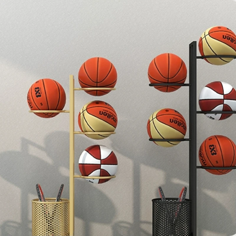 Sports Hall Basketball Display - Hall Table Tennis review and price