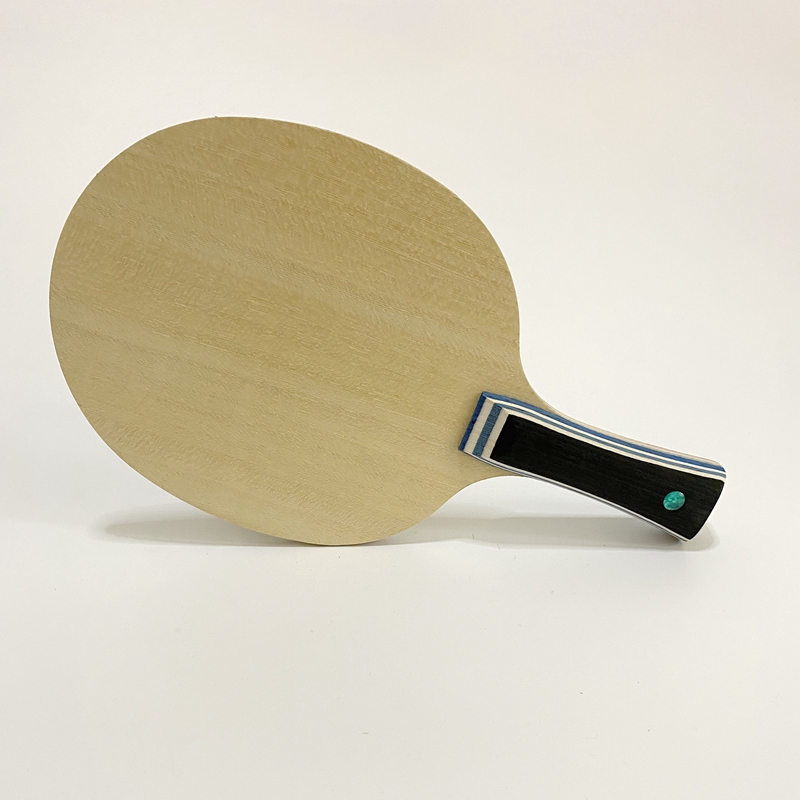 Lemuria VIS Carbon Fiber Table - Table Tennis Zlc review and price