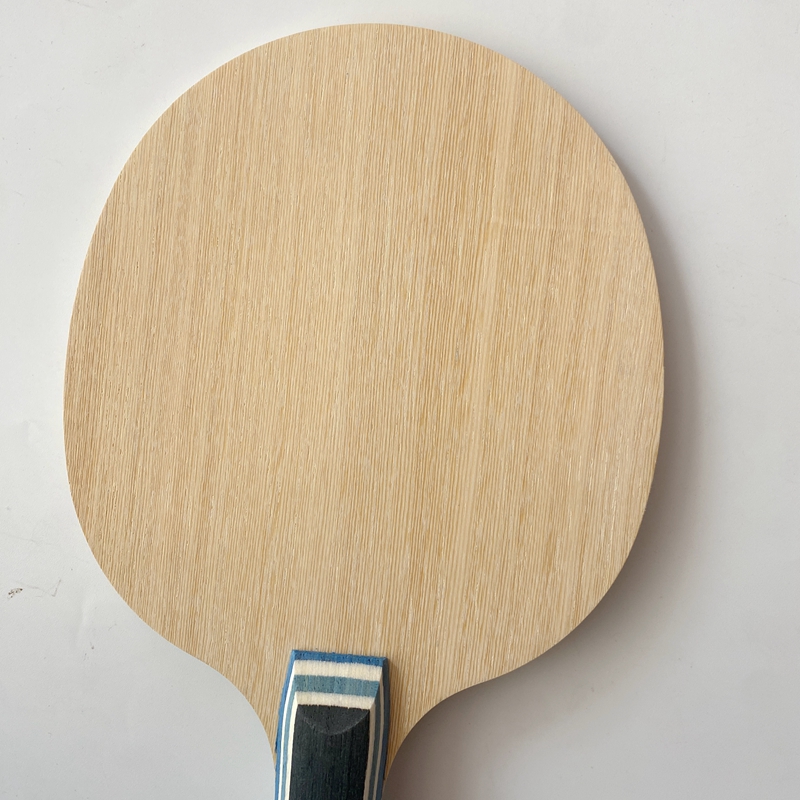 Lemuria VIS Carbon Fiber Table - Table Tennis Zlc review and price