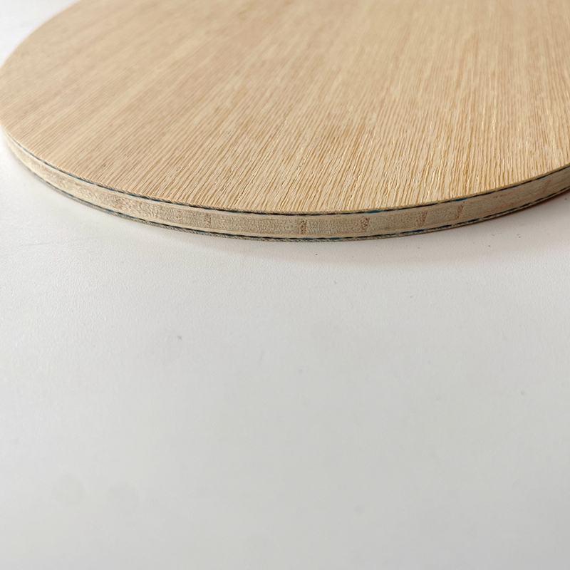 Lemuria VIS Carbon Fiber Table - Table Tennis Zlc review and price